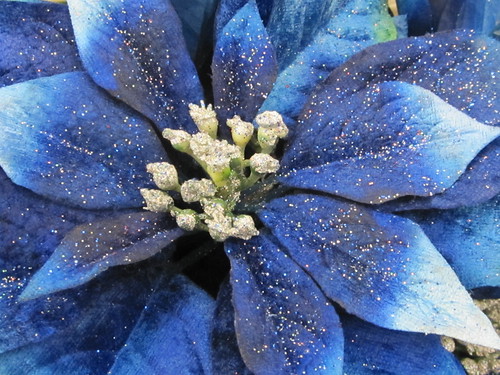 Blue Silk Poinsetta