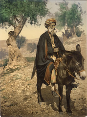 Arab man from Bethlehem on his donkey