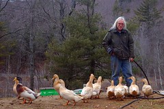 Frank and the ducks
