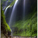 Madakaripura waterfall ~ East Java, Indonesia