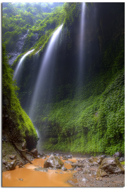 Madakaripura waterfall ~ East Java, Indonesia