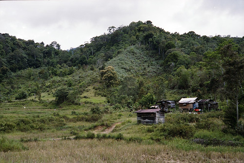 Home of Penan people at Tama Abu range