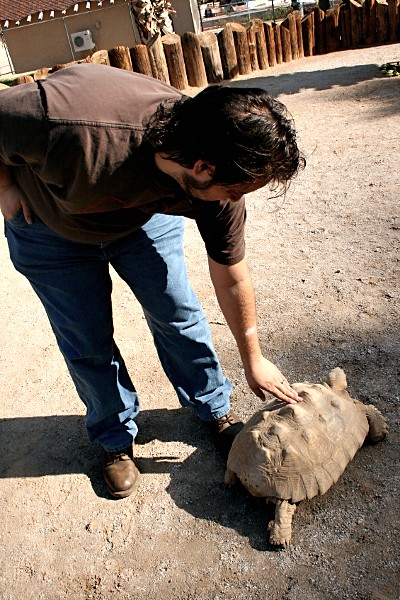 Scotty with a sulcata at the Wildlife World Zoo