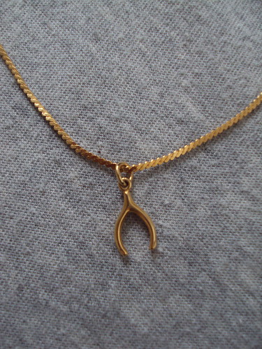 Wishbone Necklace (detail) 