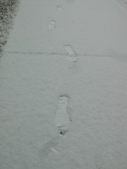 My footprints in the snow