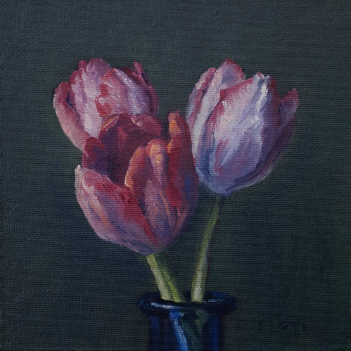20110112 tulips 6x6