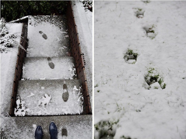 snow footprints double