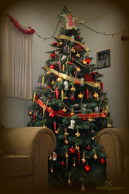 Our 8 feet Christmas tree 2010