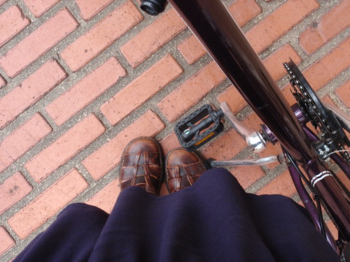 Blue Skirt Brown Shoes Purple Bike