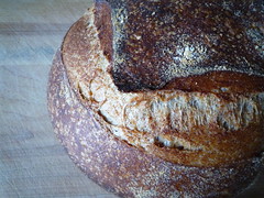 whole-wheat bread