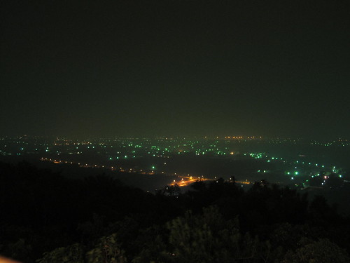 大岡山Night View