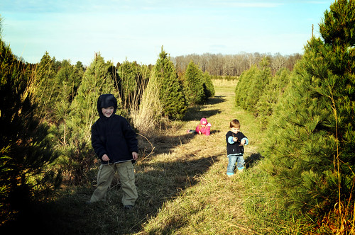 the kids_tree farm