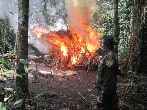 burning poachers camp