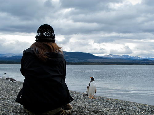 Penguin with Woman - Tierra del Fuego, Argentina