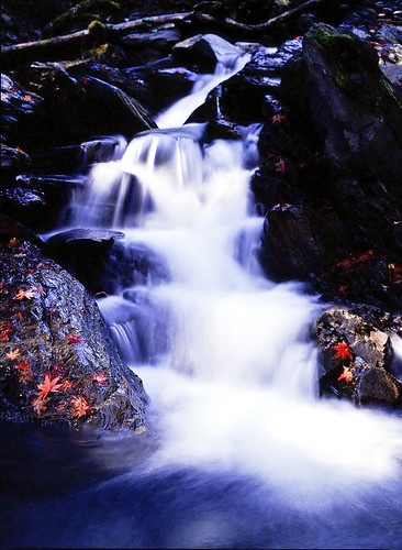 フリー写真素材|自然・風景|滝|カエデ・モミジ|