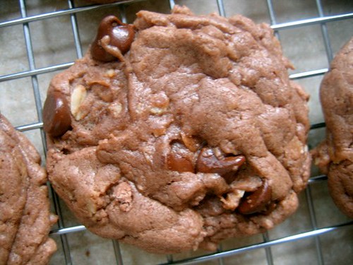 german chocolate cookie 1