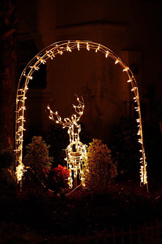 Christmas Eve reindeer