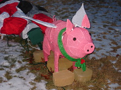 Christmas Pig 1