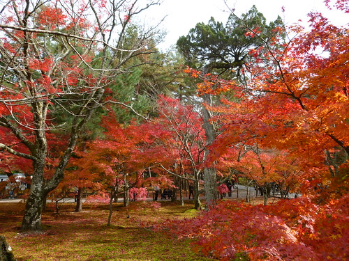 Kyoto Eikan-ji Nanzen-ji 2010.11.28_050