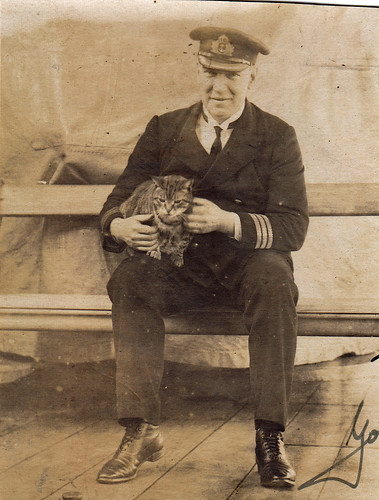 Ship's cat with Royal Navy officer.
