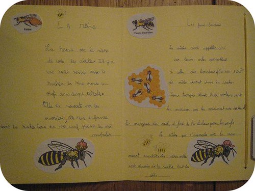 lapbook abeille 7