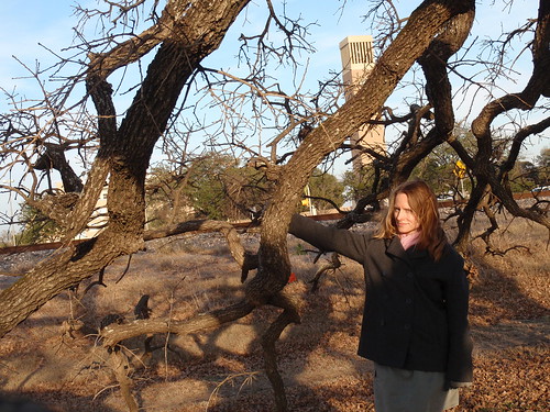 Me with Tree and Sunshine