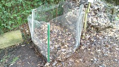 New leaf mould bay for Queen's Wood Organic Garden