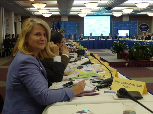Joelle Garriaud Maylam au Forum Transatlantique de l’OTAN (3)