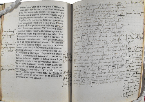 Annotations and leaf supplied in manuscript in Albertus Magnus [pseudo-]: Liber aggregationis
