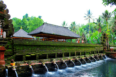 Ubud Water Temple