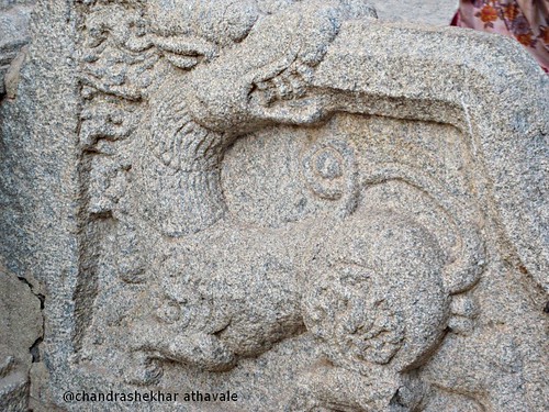 strange animal Haj ram temple