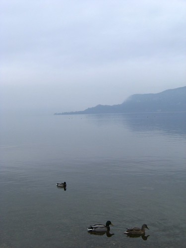 san vigilio and ducks in cristal clear water