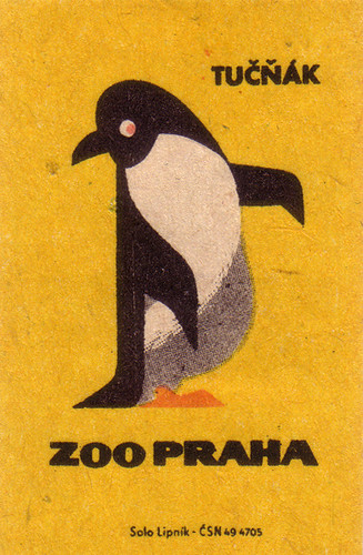 Prague Zoo: penguin