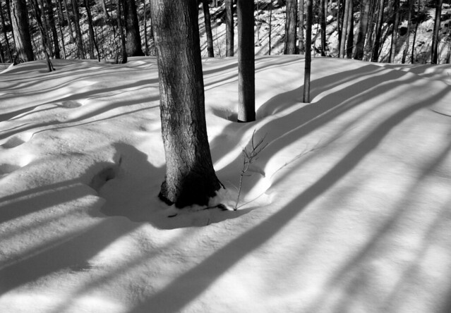 snow shadows 2011-03-06 019