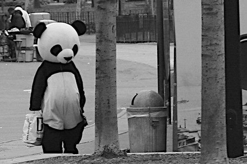 Panda_had_a_Long_Day_by_nycDan