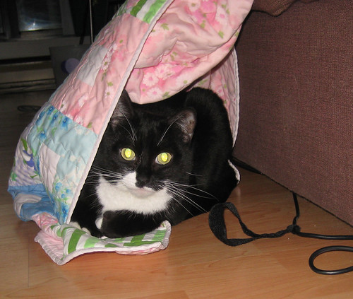 sofie hiding under my fat quarterly quilt-a-long quilt