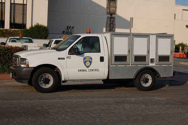 policecar fordf250 slpd sanleandropolicedepartment animalcontrolvehicle
