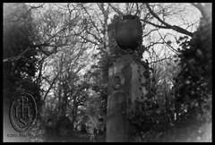 Pinhole pictures of Warriston Cemetery Edinburgh Scotland (104)