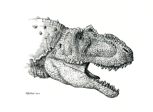 allosaurus fragilis