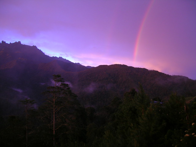Forest: Kinabalu Park, sunset mit rainbow!