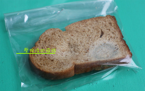 霉麵包 -3