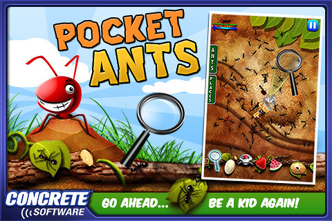 pocket-ants