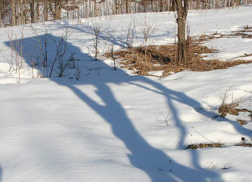 snow shadows 2011-03-06 013
