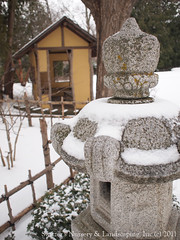 Japanese Tea House provides shelter from the Snow