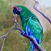 Great Green Macaw Painting
