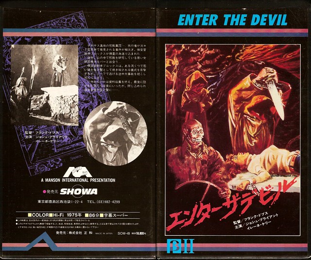 Enter The Devil (VHS Box Art)