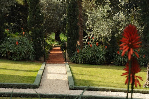 Private garden oasis