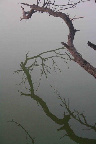 Photo Essay – Hauz Khas Lake, Near Green Park