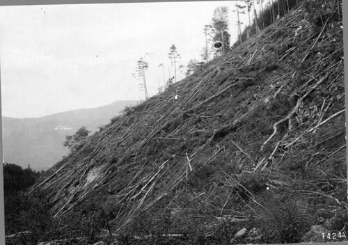 The legacy of the Weeks Act is shown in these two photos showing the same landscape on the White Mountain National Forest but a century apart.  This photo was taken in 1910 and shows a logged-over hillside.  
