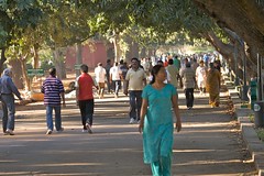 Lalbagh 2011-03-061